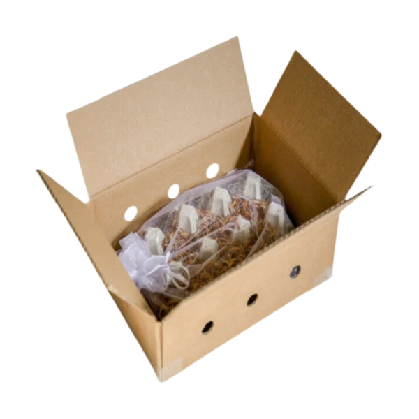 001-starter-kit-comfort-fuer-die-mehlwurmzucht-04