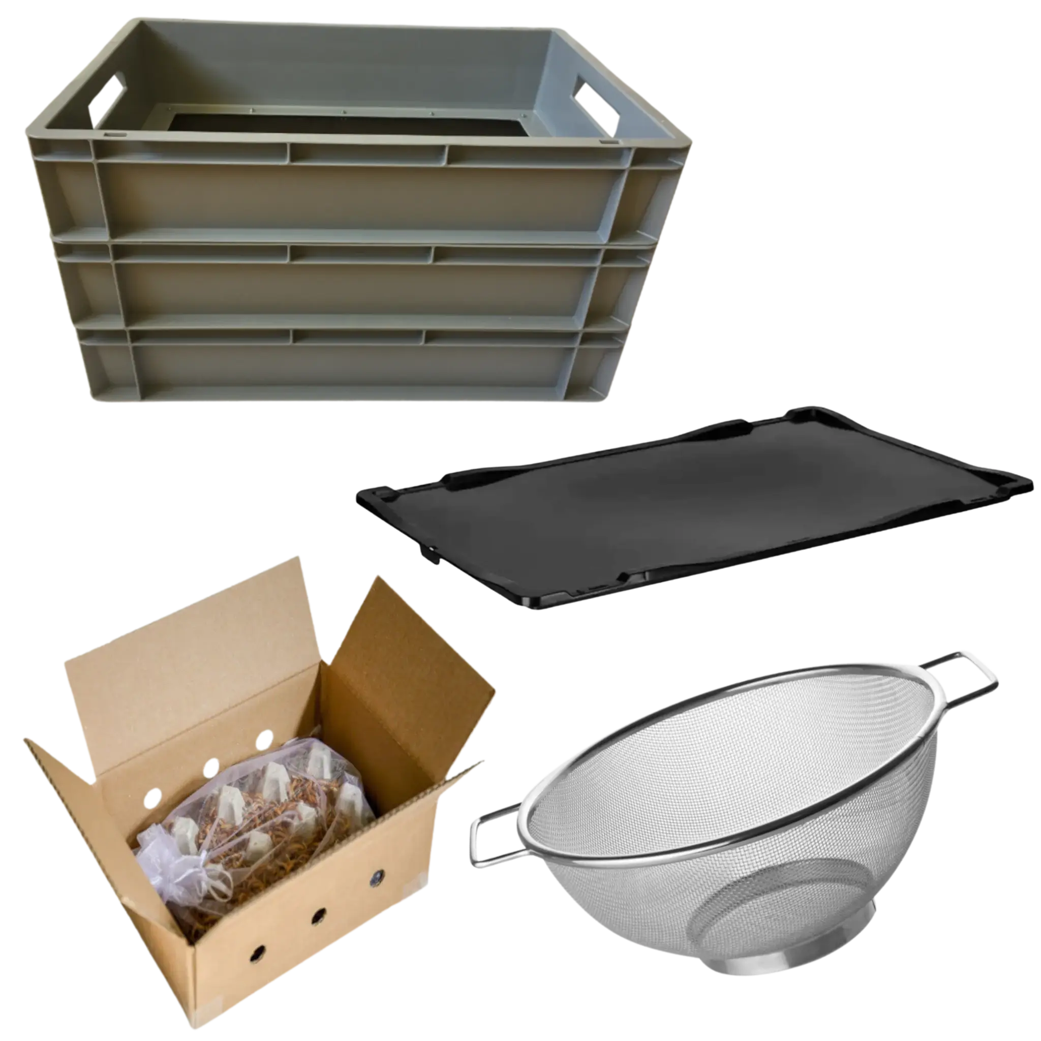 002-starter-kit-profi-fuer-die-mehlwurmzucht-01