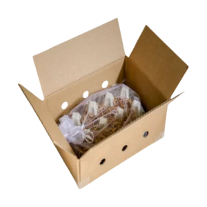 002-starter-kit-profi-fuer-die-mehlwurmzucht-04