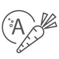 startseite-kategorien-ernaehrung-fuetterung